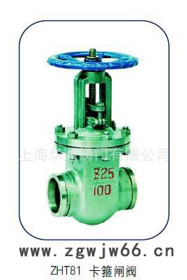 高压卡箍楔式闸阀卡箍闸阀图2