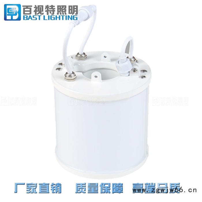 百视特 LED桥梁拉索灯 抱柱灯 LED抱箍灯   7W 12W φ50图2