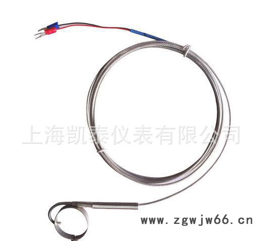 卡箍式热电偶-铠装热电偶WRKT-11G图3