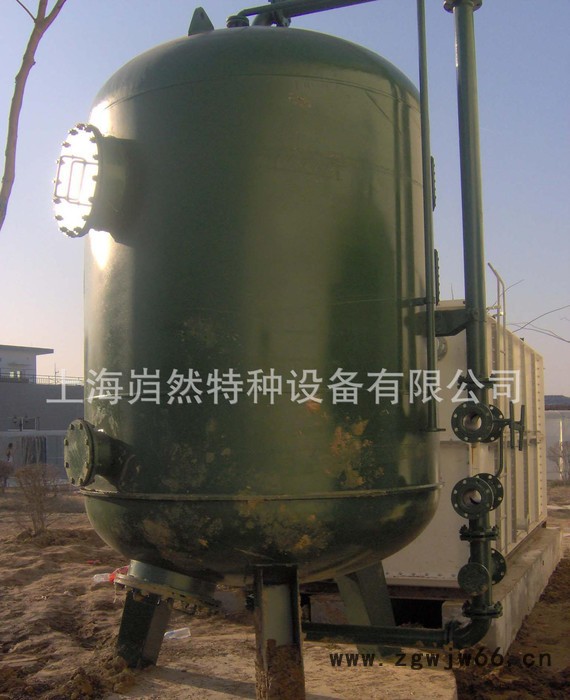 直销型号 精密过滤器 保安过滤器 卡箍式过滤器 **图3