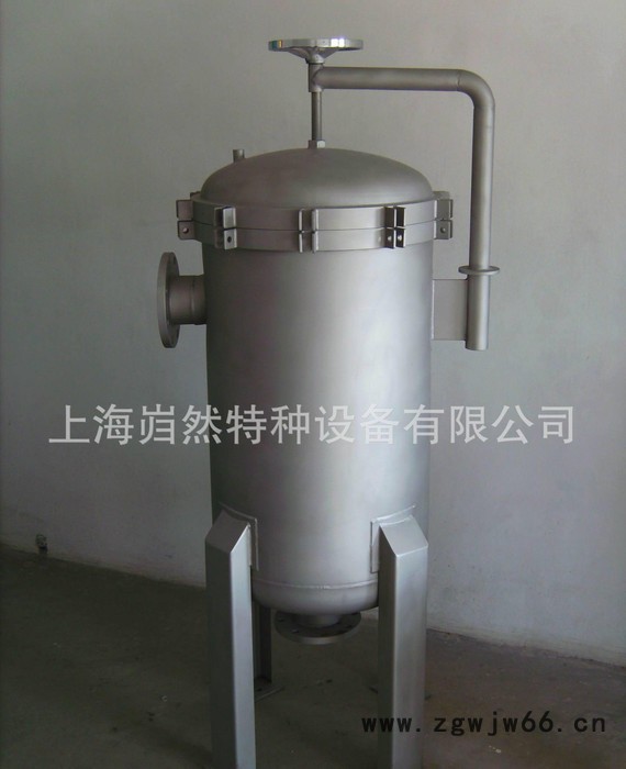 直销型号 精密过滤器 保安过滤器 卡箍式过滤器 **图2