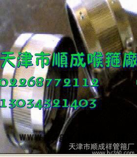 供应TJSC2-12寸铸铁管专用卡箍图2