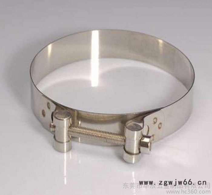 直销 强力卡箍抱箍碳钢镀锌欧式喉箍23-252规格齐全特价现图2