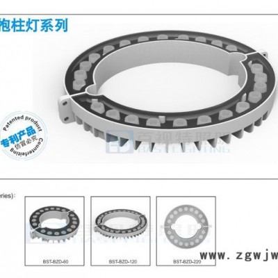 百视特BT-HK220 LED抱箍灯/彩环灯/拉索灯 批发直销 生产商 桥梁装饰灯 工程定制灯 价格实惠 厂家RGBW