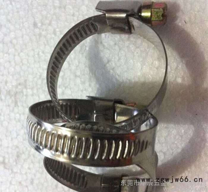 抱箍生产直销 304不锈钢抱箍规格型号32-305抛光非标定图3