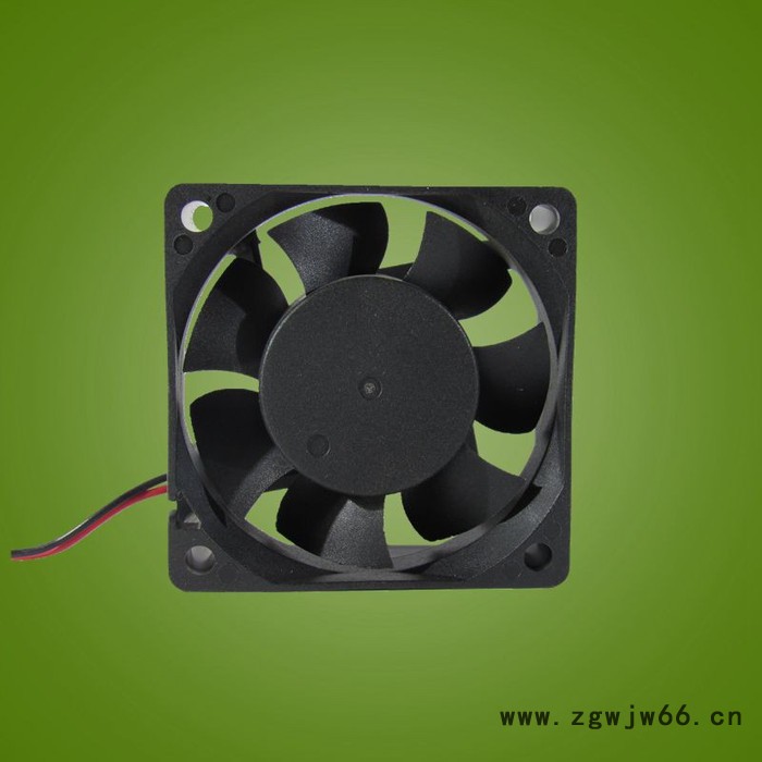 厂家供应高品质 6025 双滚珠 散热风扇 静音 风量大 直流风扇图3