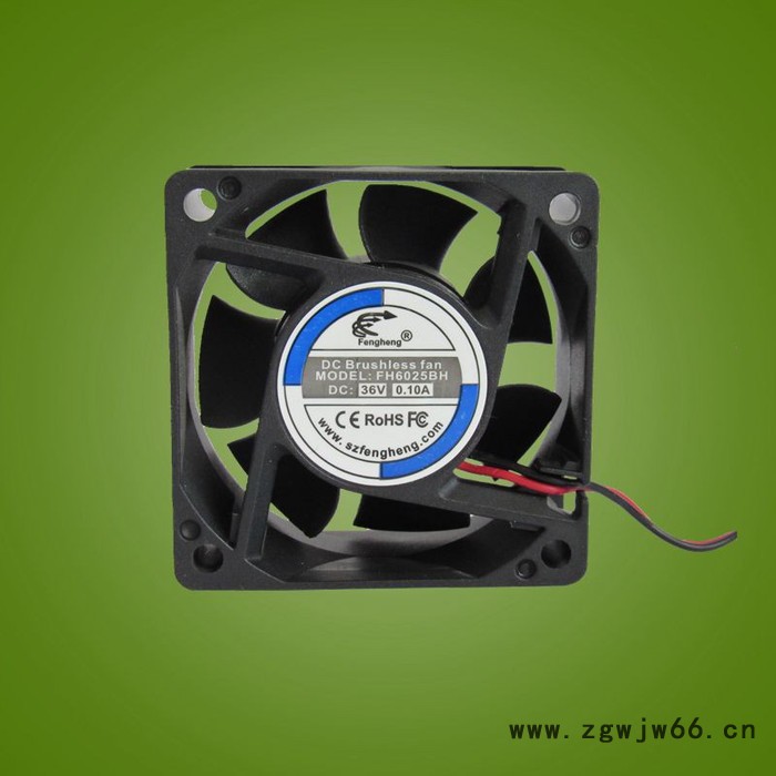 厂家供应高品质 6025 双滚珠 散热风扇 静音 风量大 直流风扇图2