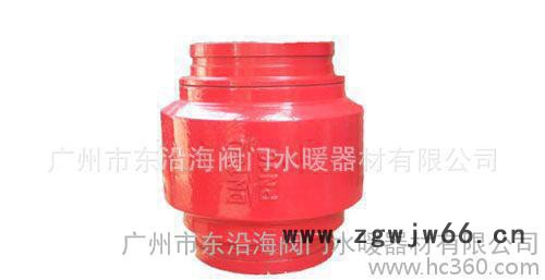 东沿海卡箍消声止回阀图2