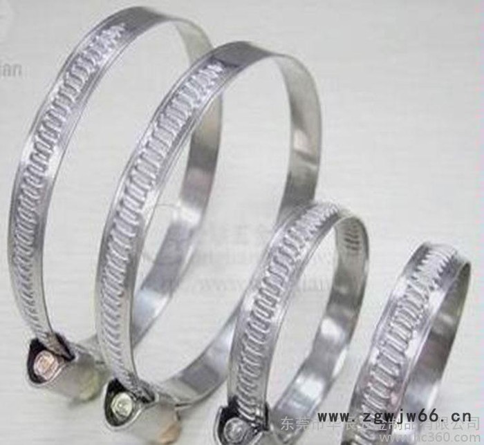 直销 抱箍卡箍强力卡箍抱箍德式304半钢非标定做抛光品质款图3