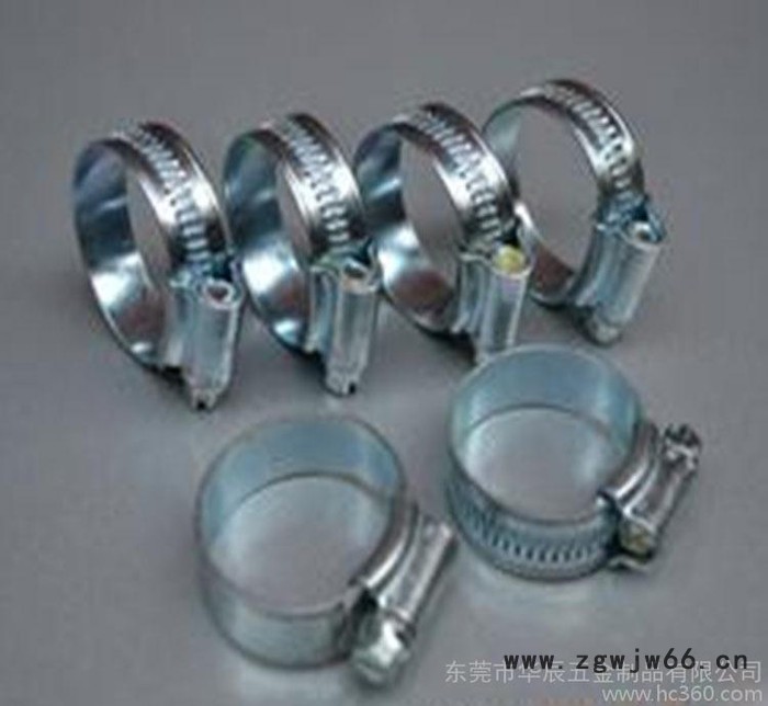 直销 304抛光德式喉箍不锈钢卡箍抱箍16-25非标定制款现图3