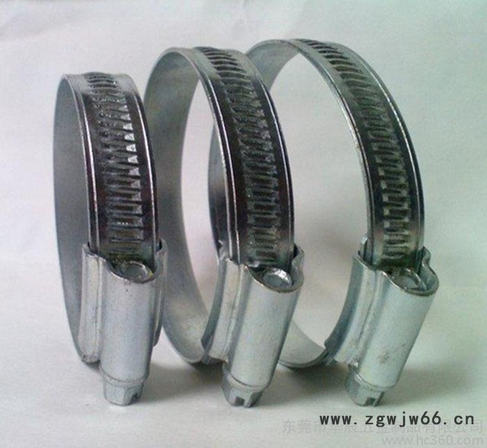 直销 304抛光德式喉箍不锈钢卡箍抱箍16-25非标定制款现图2