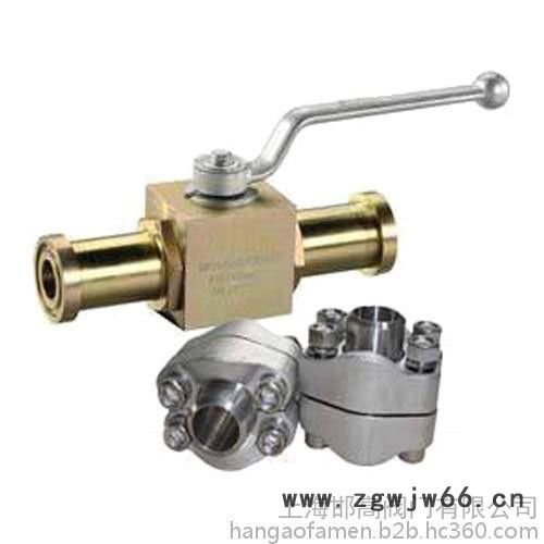 上海邯高阀门有限公司、SAE16P、 SAE法兰高压卡箍球阀图4