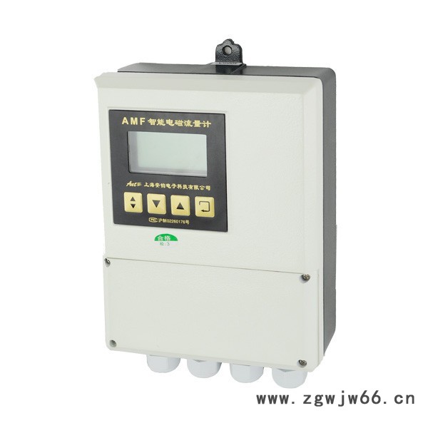 磊腾LEM 电磁流量计/卡箍连接/卫生型/高精度型图2