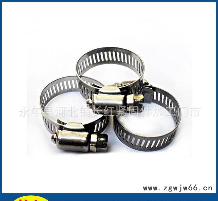 不锈钢系列喉箍 卡箍 抱箍  美式喉箍图2