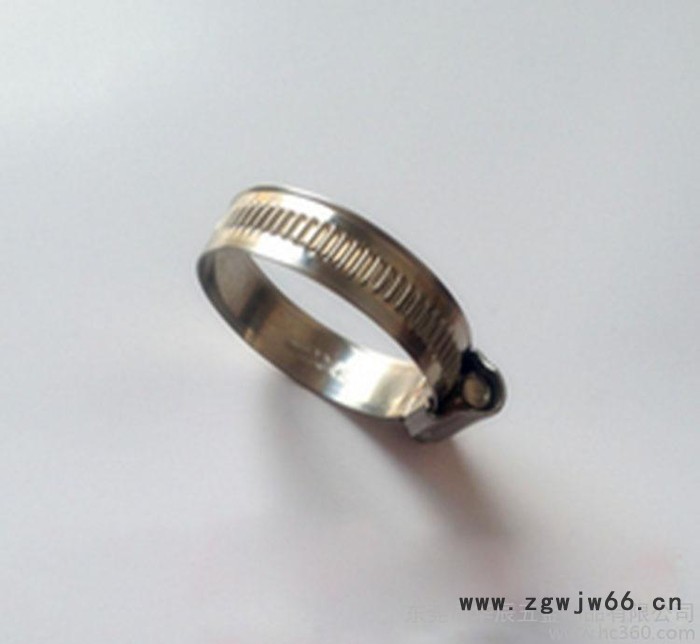 直销 抱箍卡箍不锈钢卡箍规格型号德式316不锈钢喉箍产地货源图2