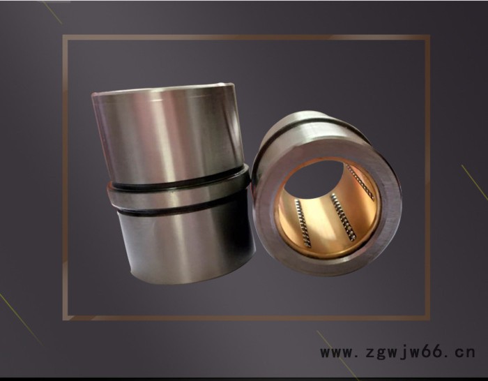 HASCO模具导套Z1000/96 Z1000 中托司Z13系列 直线滚珠中托司规格30*22*17图2