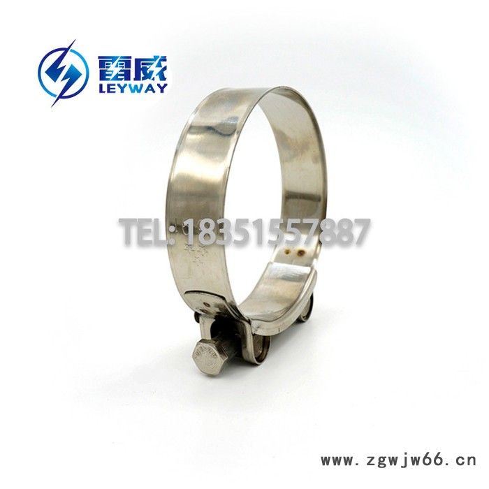 201/304不锈钢强力喉箍  欧式强力卡箍 T型抱箍 管束图2