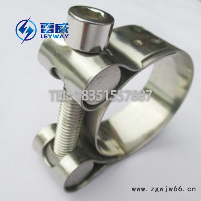 201/304不锈钢强力喉箍  欧式强力卡箍 T型抱箍 管束图4