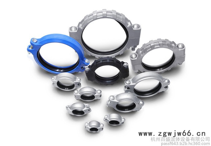 pass75L  76M 77C  77A 不锈钢卡箍图2