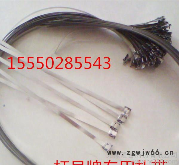 电厂杆号牌扎带电线杆专用扎带电力标识牌绑带不锈钢抱箍图3