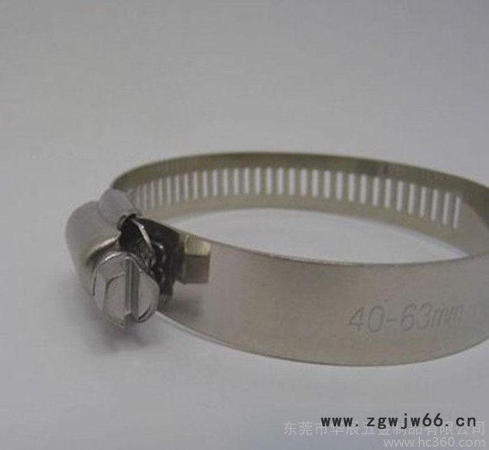 抱箍生产直销 大美式不锈钢抱箍304欧式喉箍抛光32-305图2