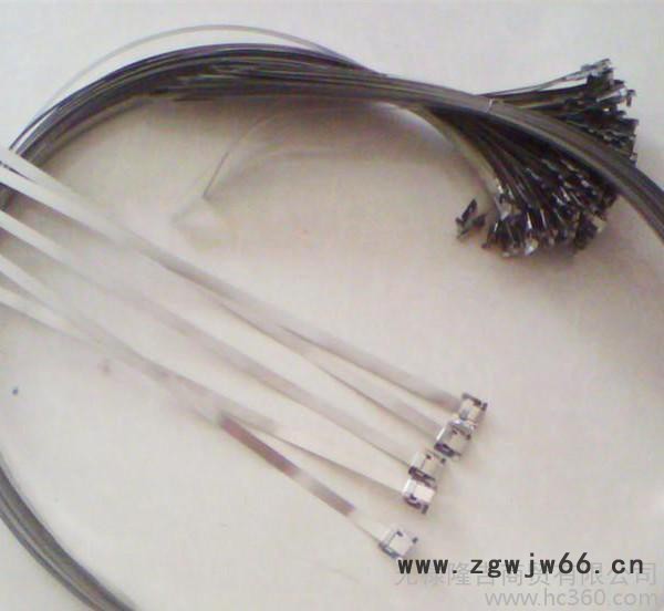 直销 绑电线杆标牌专用扎带 不锈钢扎线杆不锈钢抱箍图3