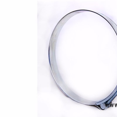 津静德不锈钢强力型T型喉箍**量大从优 不锈钢卡箍