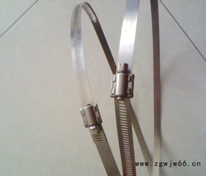 **不锈钢抱箍扎带不锈钢条图2