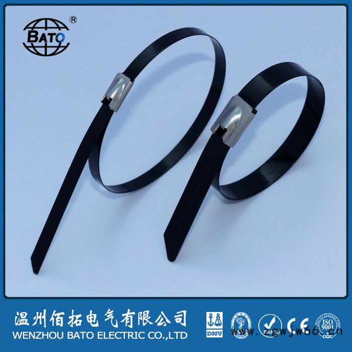 佰拓不锈钢全喷塑不锈钢扎带滚珠锁紧式喷塑不锈钢扎带涂塑扎带图2