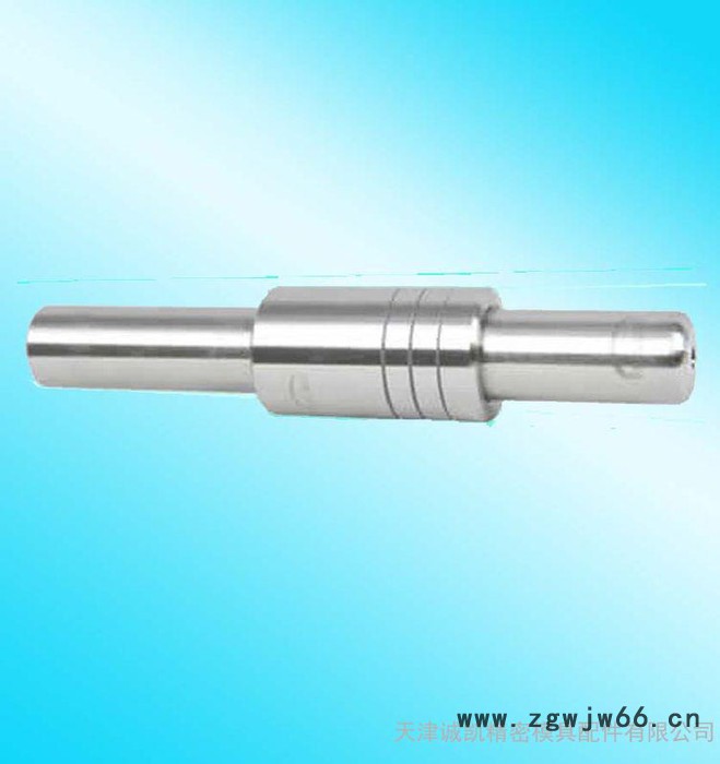 长春导柱厂家专业生产滑动导柱SGP 滚珠导柱SRP TRP图2