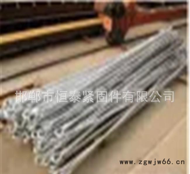 定做热镀锌拉线棒 电力铁塔专用U型抱箍 恒泰电力金具图2