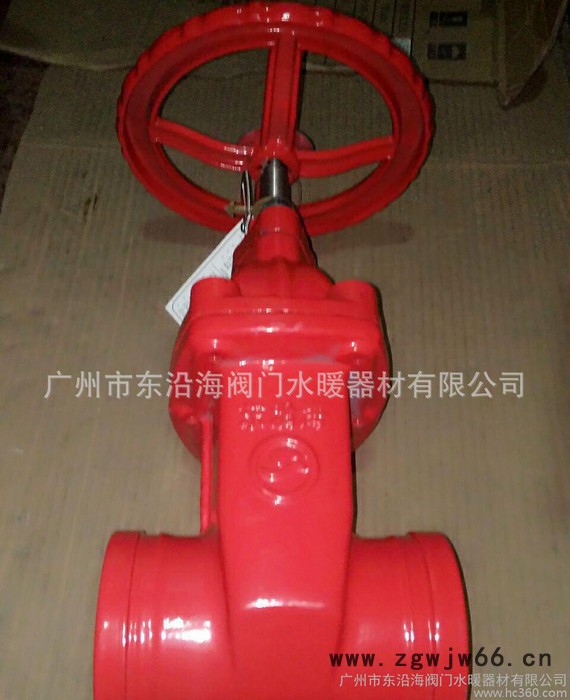 东沿海卡箍暗杆闸阀图2