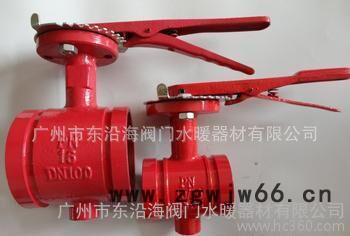 东沿海卡箍手柄蝶阀图2