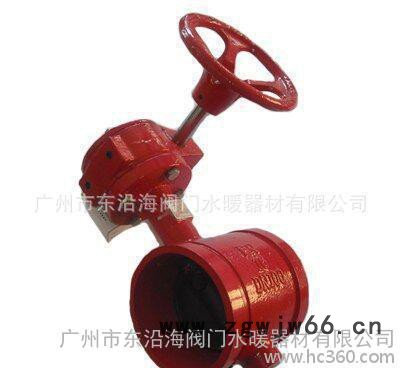 东沿海卡箍涡轮蝶阀图2