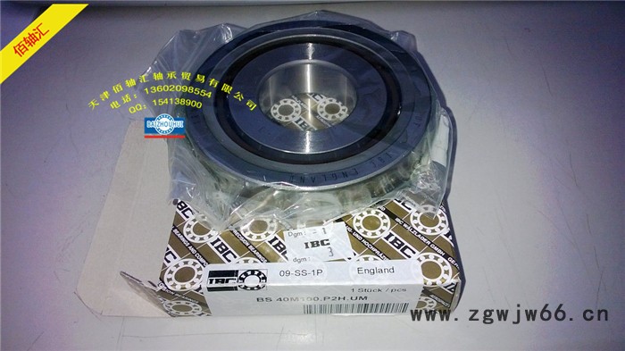 BS40M100.P2H.UM轴承【台湾ABM品牌】滚珠丝杠图2