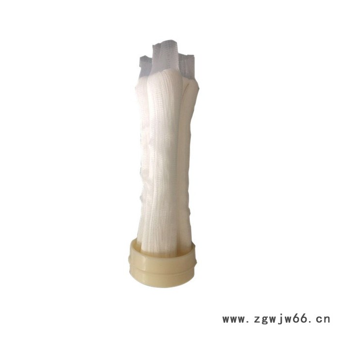 卡箍不锈钢净水器滤芯PVDF厨房过滤器UF中空纤维超滤膜滤芯可订做图2