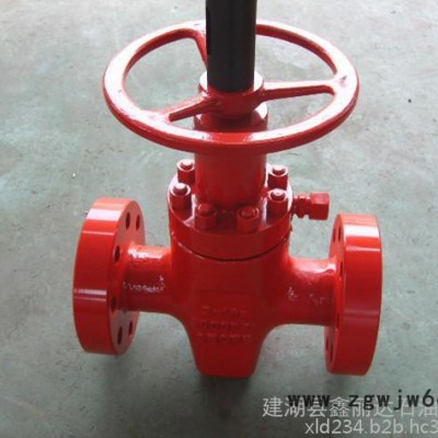 平板闸阀型号 卡箍高压平板闸阀 平板闸阀结构图 API6A型/PFF平板闸阀/江苏鑫丽达