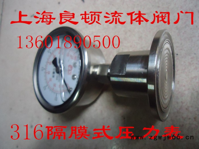 快装式卡箍式不锈钢卫生隔膜压力表YN60-BF-MC 10b图2