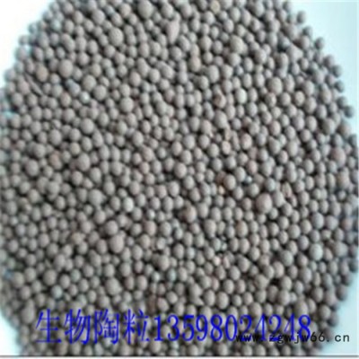 巩义均质滤料污水专用生物陶粒厂家 新型高效过滤材料