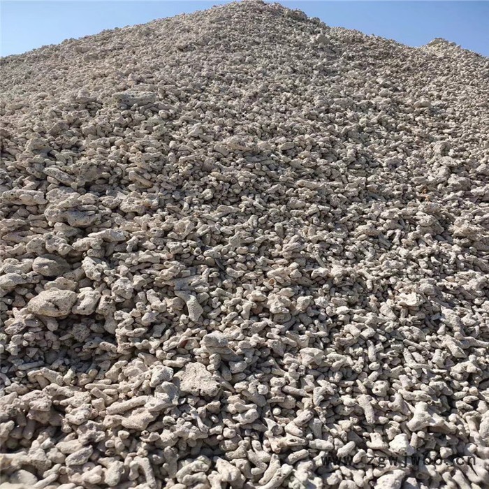 供应水族过滤材料珊瑚砂 海洋馆用珊瑚砂 珊瑚骨水族过滤材料图3