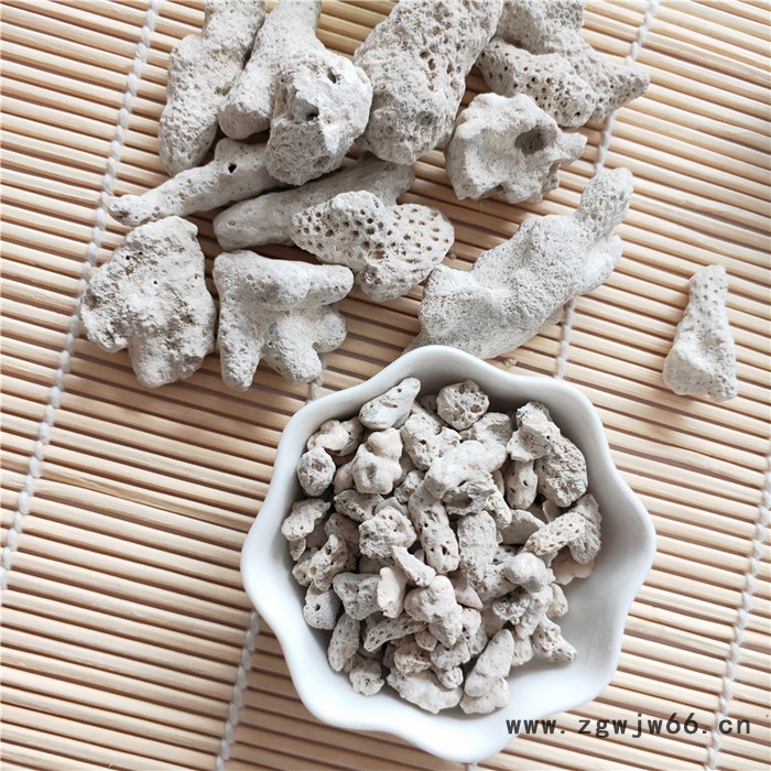 供应水族过滤材料珊瑚砂 海洋馆用珊瑚砂 珊瑚骨水族过滤材料