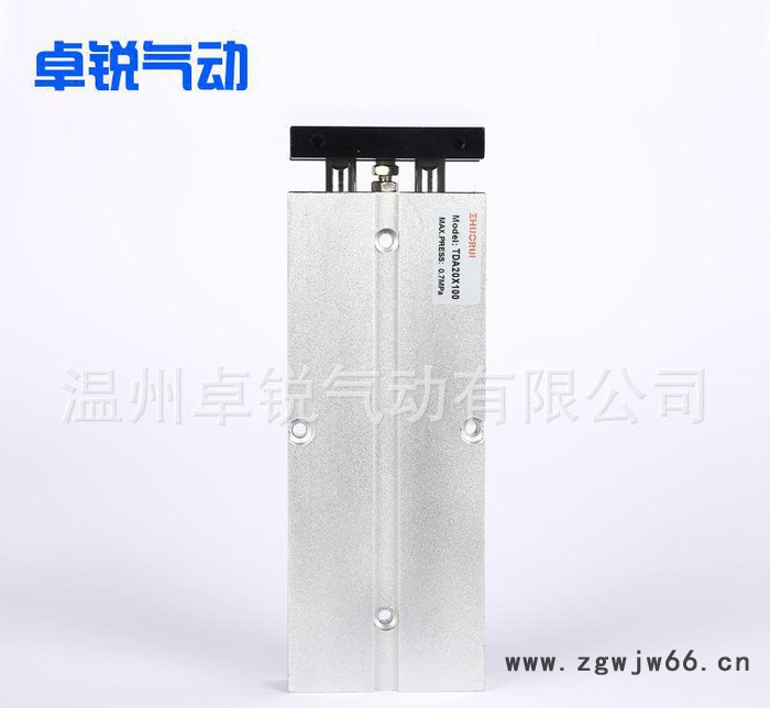 直销 TN系列TN20X100双轴 气缸 气动元件 气缸 质图2