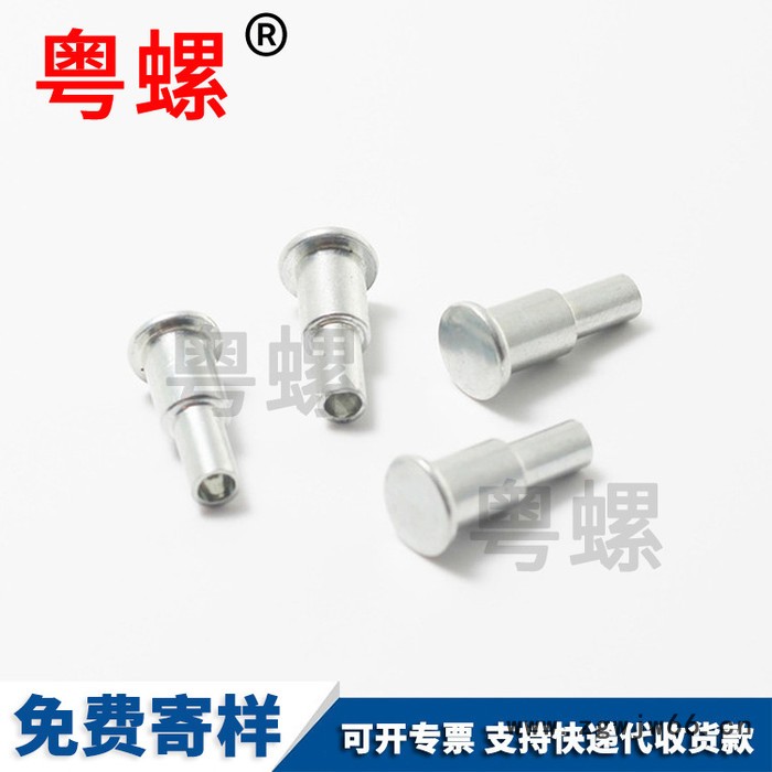 镀锌双层钉万向轮台阶钉箱包脚轮配件铆钉 专业加工生产圆头铆钉图5