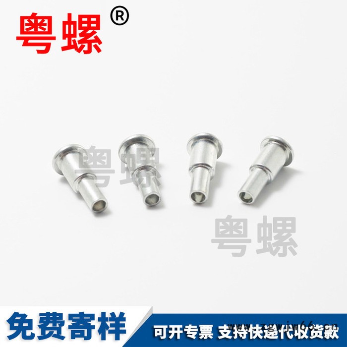 镀锌双层钉万向轮台阶钉箱包脚轮配件铆钉 专业加工生产圆头铆钉图3