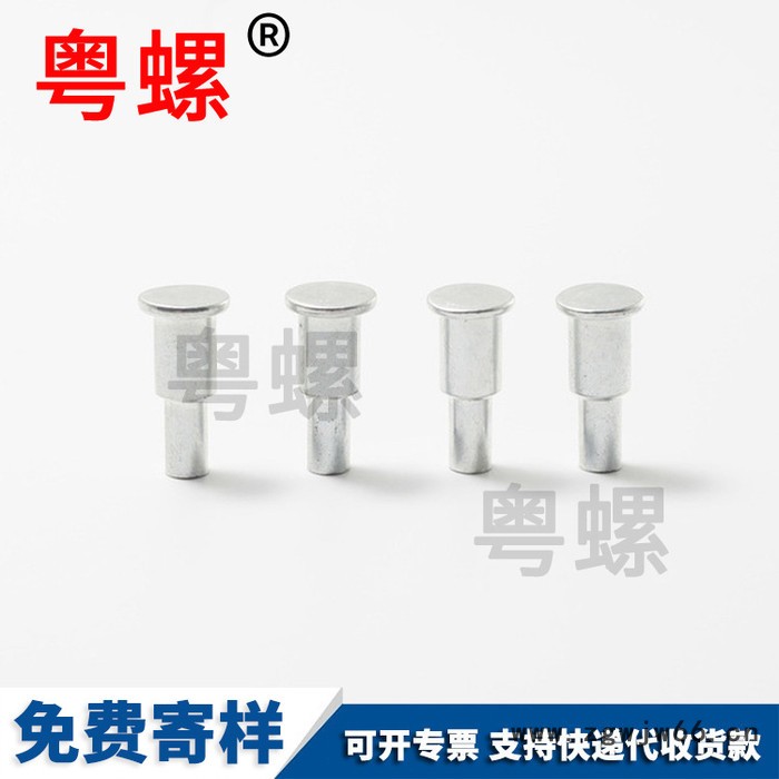 镀锌双层钉万向轮台阶钉箱包脚轮配件铆钉 专业加工生产圆头铆钉图2