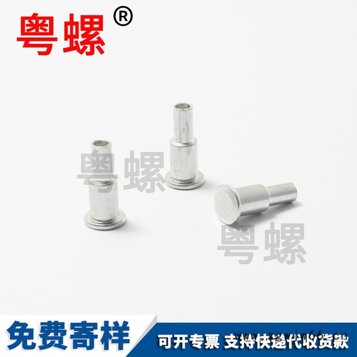 镀锌双层钉万向轮台阶钉箱包脚轮配件铆钉 专业加工生产圆头铆钉