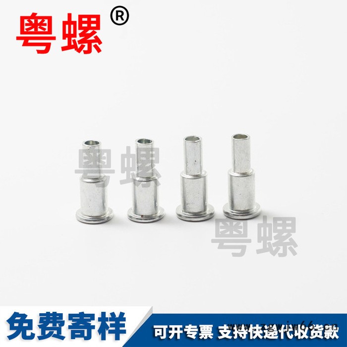 镀锌双层钉万向轮台阶钉箱包脚轮配件铆钉 专业加工生产圆头铆钉图4