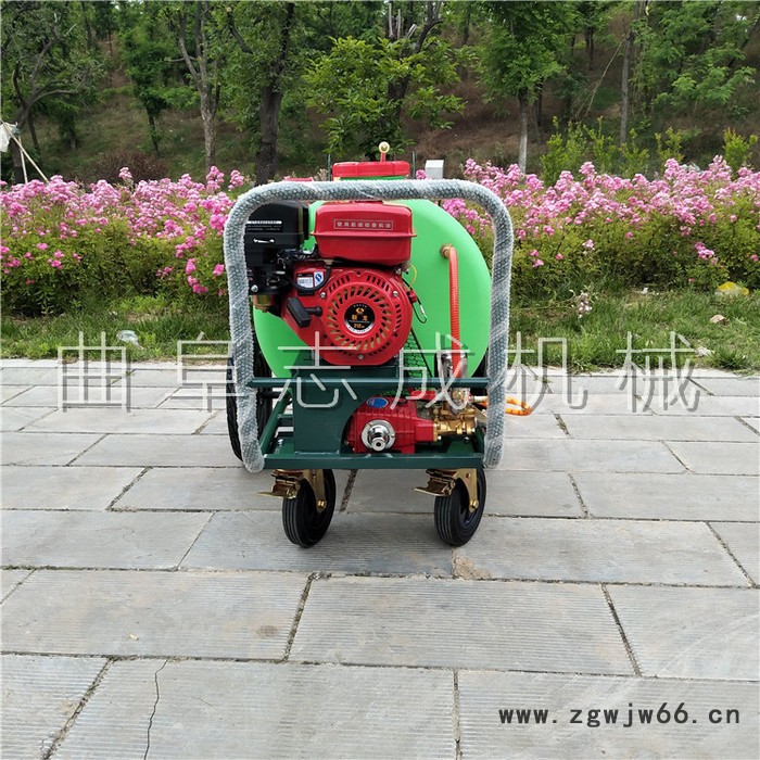 车辆清洗消毒高压清洗机 万向轮转动农用打药机 远射程喷洒喷雾器图8