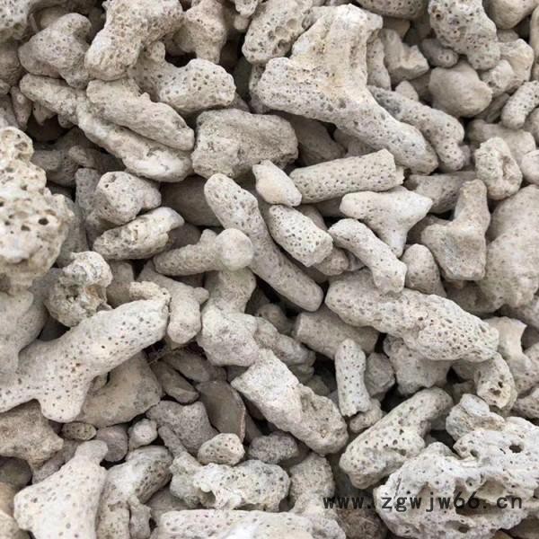 乾宇1154 水族过滤造景用 珊瑚砂 养殖鱼池 珊瑚石过滤材料图2