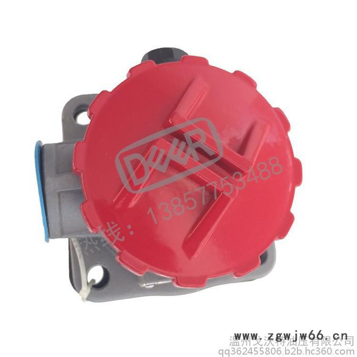 除污器 低压滤油器 德尔牌高品质 RFA系列回油过滤器 液压元件图5